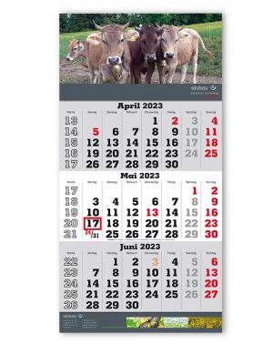 3-Monats-Wandkalender 7108